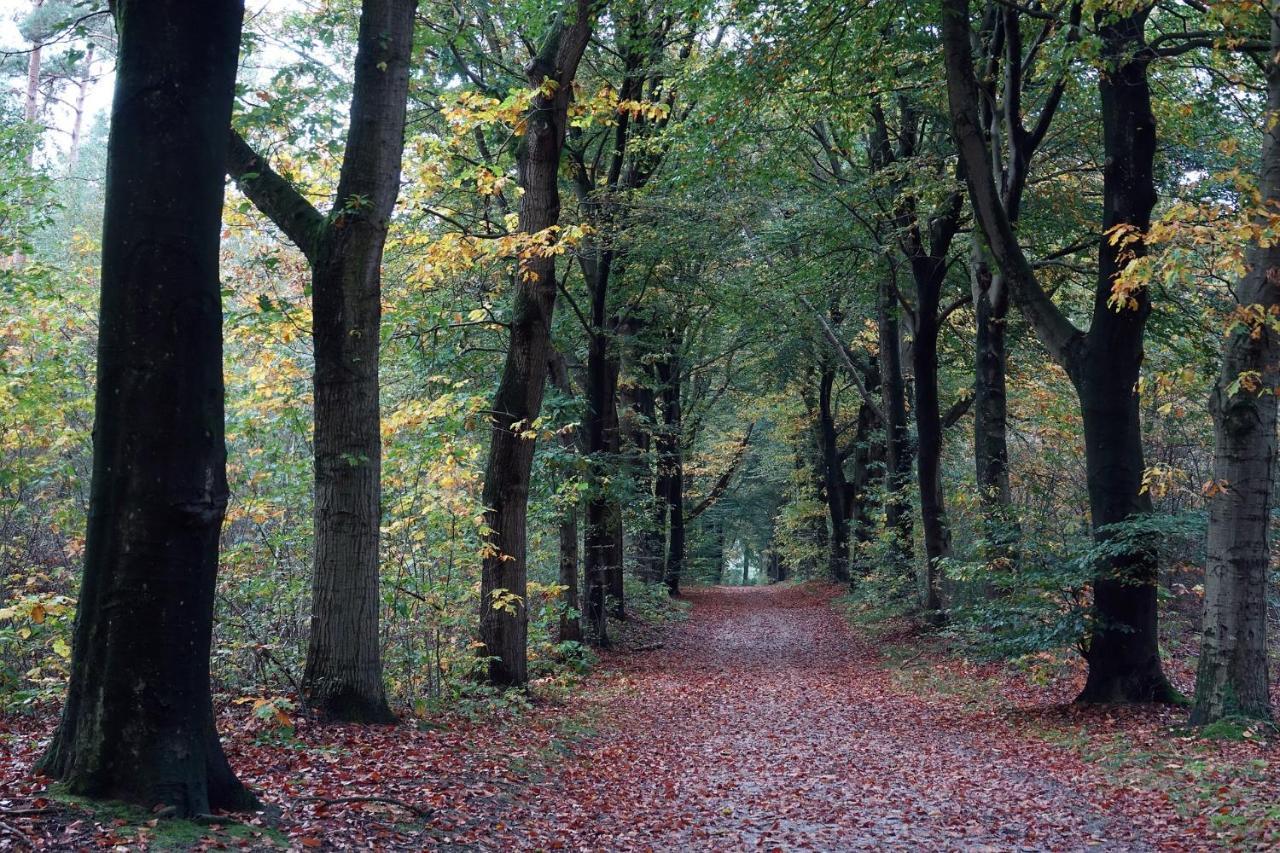 Heerlijke Vakantiewoning Veluwse Bossen Putten Zewnętrze zdjęcie