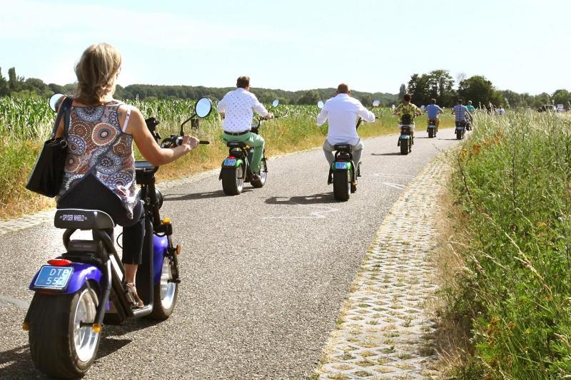 Heerlijke Vakantiewoning Veluwse Bossen Putten Zewnętrze zdjęcie